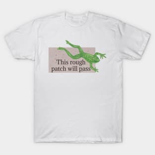 This rough patch will pass T-Shirt